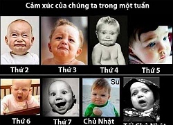 Cảm xúc khi trải qua các ngày trong tuần ra sao