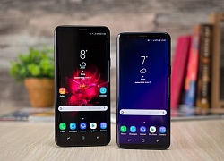 Galaxy S10 ra mắt tháng 2, điện thoại gập lại Galaxy X xuất hiện tháng Giêng