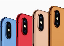 iPhone 2018 xuất hiện 5 màu mới, độc đáo hơn iPhone 5C