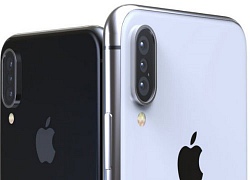 iPhone X Plus đẹp thế này, sớm muộn cũng thành bất tử