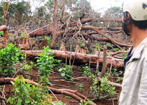 Kỷ luật nguyên Chủ tịch, Bí thư huyện vì sai phạm, biểu hiện tư lợi