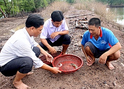 Lạ mà hay: Chán tôm sú, bán 1,4 triệu/kg