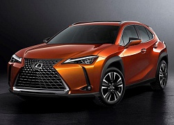 Lexus: Chúng tôi không thêm xe giá thấp để đấu BMW và Mercedes