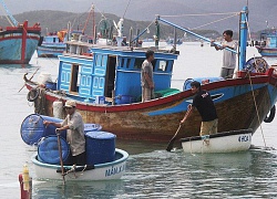 Vụ đề nghị hỗ trợ sai gần 24 tỷ đồng: "Không có dấu hiệu tiêu cực, tham nhũng" (?)