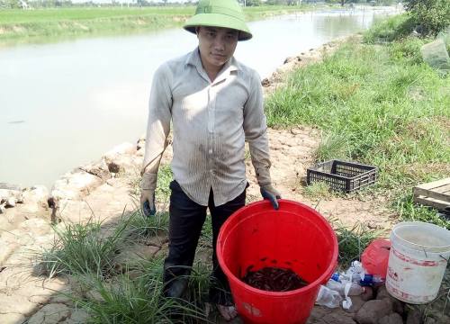 Chàng "Quách Tĩnh" ngắm mưa rào, đợi rắn đẻ, thu tiền rủng rỉnh