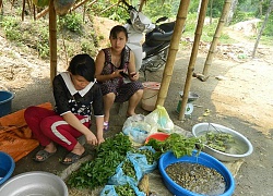 Chợ xép vùng cao toàn đặc sản nhìn đã sợ, chuột, nòng nọc, ấu trùng