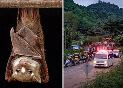 Đáng sợ "căn bệnh hang động" đe dọa các cầu thủ nhí Thái Lan