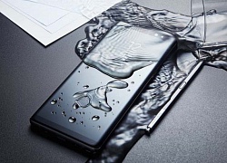 Galaxy Note 9 lộ mặt trước, nói không với "tai thỏ"