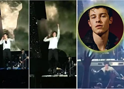 Hailey đính hôn với Justin Bieber, Shawn Mendes buồn quá nên tự nhảy tự ngã?