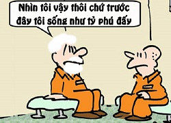 Lý do tỷ phú vào tù