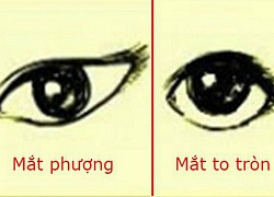 Mắt dài, mắt tròn hay mắt phượng, hình dáng đôi mắt chứa đựng bản mệnh về tính cách tiềm ẩn, giúp lựa chọn cách sống và công việc phù hợp