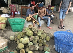 Nghe vô lý: Hạt sầu riêng giá cao hơn quả, nghi thương lái giở trò