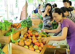 Nông sản Việt &quot;lo sốt vó&quot; trước cuộc chiến thương mại Trung - Mỹ