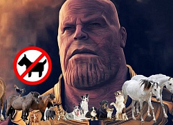 Thêm một sự thật về độ tàn nhẫn của Thanos được tiết lộ: Búng tay "rút gọn phân số" cả người lẫn thú!