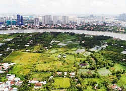 Chủ tịch Nguyễn Thành Phong: "Dân khổ ở dự án treo là có lỗi của chính quyền TP"