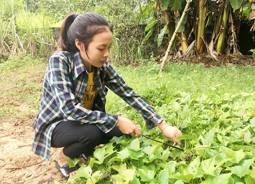 Nữ sinh nghèo 'góp nhặt' điểm cao từ những đoạn văn, bài báo