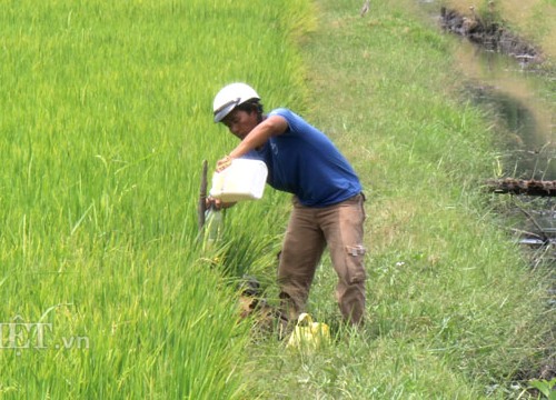 Tây Ninh: Nông nghiệp đứng "đội sổ" trong cơ cấu kinh tế của tỉnh