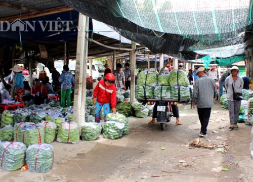 "Đột nhập" chợ đầu mối nông sản tự phát nhộn nhịp nhất đất Tây Ninh