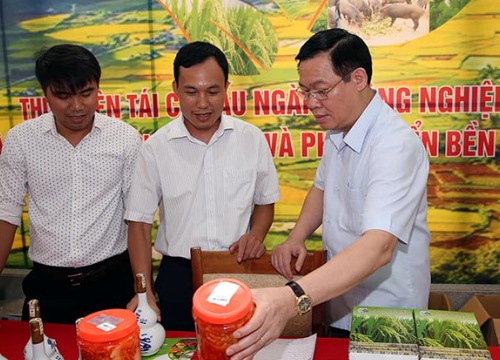 Làm OCOP: "Hãy gắn sao vào lòng dân"