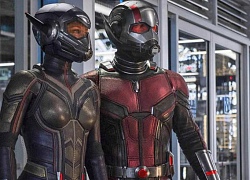 Nàng Ong chàng Kiến "Ant-Man and the Wasp" tiếp tục bành trướng thế lực ở phòng vé Hàn