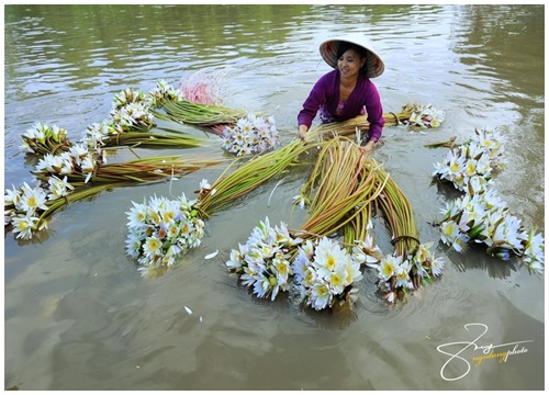 Vẻ đẹp say lòng người của An Giang