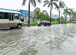 Bão Sơn Tinh suy yếu, hơn 60.000 ha hoa màu ngập úng