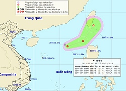 Bão Sơn Tinh vừa qua, Biển Đông lại xuất hiện áp thấp nhiệt đới