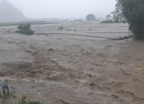 Hòa Bình: 1 người tử vong khi đi kiểm tra đồi giữa lúc trời mưa to