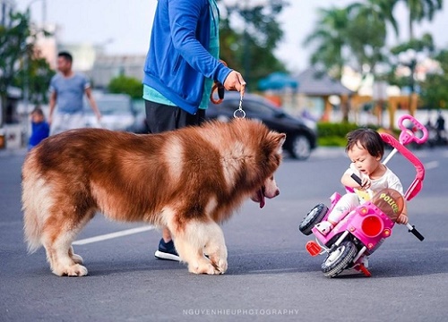 Màn "LÁCH XE" SIÊU ĐẲNG tránh chướng ngại vật của bé gái khiến ai xem cũng cười nắc nẻ