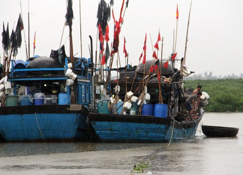 Ngư dân nhấn chìm tàu thuyền để "trốn" bão