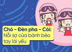 Nỗi sợ của bánh bèo tay lái yếu: Mỗi ngày ra đường chính là một cuộc chiến!