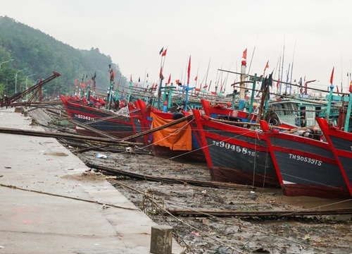 Thanh Hóa: Tàu thuyền cấp tập vào bờ tránh trú bão Sơn Tinh