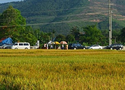 Vụ khai quật tử thi nữ kế toán:Không xác định được nguyên nhân chết