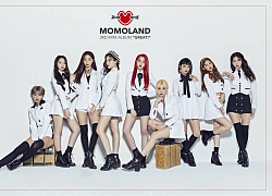 Đẳng cấp MOMOLAND: Clip vũ đạo fan đăng &quot;chơi cho vui&quot; cũng đạt gần 100 triệu view