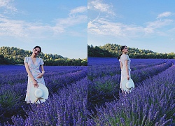 Hoa hậu Chuyển giới Hương Giang dịu dàng đẹp như công chúa bên cánh đồng hoa lavender