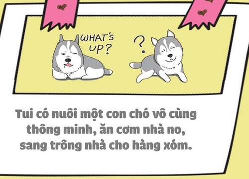 Nuôi thú cưng thì vui nhưng vớ phải một em bị "ngố tàu" thì dở khóc dở cười đấy