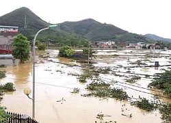 Phú Thọ: Nghìn ngôi nhà bị lũ nhấn chìm, dân tán loạn leo lên mái nhà