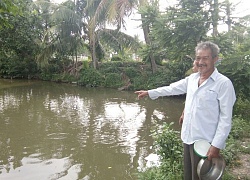 Ăn nên làm ra từ nuôi loài cá ăn rau là chính, chuyên để chiên sù