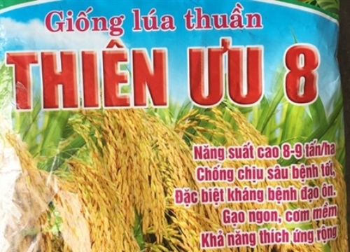 Hà Tĩnh mất mùa 600 tỉ đồng: Phạt đúng luật "gãi ngứa"...