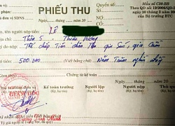 Phê bình, rút kinh nghiệm lãnh đạo xã vụ đóng phí ăn cỏ của trâu bò