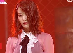 Produce 48 cover hit BlackPink: 'Gà cũ' YG bị chê rap thảm họa, thí sinh Nhật lại được khen tới tấp