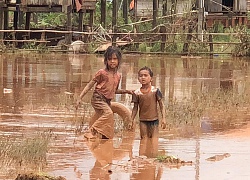 THẢM HOẠ VỠ ĐẬP THUỶ ĐIỆN: Động vật chết khắp nơi, trẻ em lội bùn nhận cứu trợ