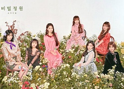 Hot: 4 thành viên Oh My Girl gặp tai nạn, fan như &#8216;ngồi trên đống lửa&#8217;