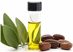 Dầu jojoba Chút dịu dàng cho làn da và mái tóc mềm mượt