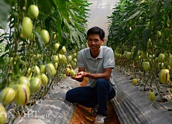 Lạc vào thế giới trồng nhiều loại quả siêu độc lạ của chàng kỹ sư trẻ