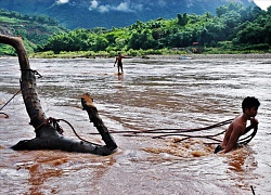 Nghề vớt gỗ trên thượng nguồn sông Đà