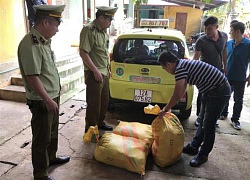 "Tóm gọn" 2 vụ vận chuyển hàng lậu trong 1 ngày