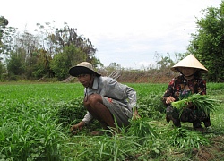 Vốn bền vững nhờ dân... tiết kiệm