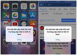 Cách tạm thời sửa lỗi iOS 12 beta liên tục đòi cập nhật, mặc dù iPhone đã ở phiên bản iOS mới nhất