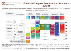 Chứng chỉ Anh văn Quốc tế "được lòng" phụ huynh Việt
